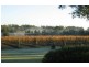 Pokolbin NSW 2320