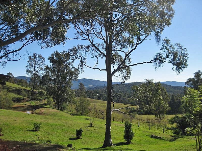 111 Q3 Private Access Road, Ellalong NSW 2325