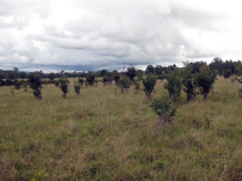Lot 20 O’Connors Road, Pokolbin NSW 2320