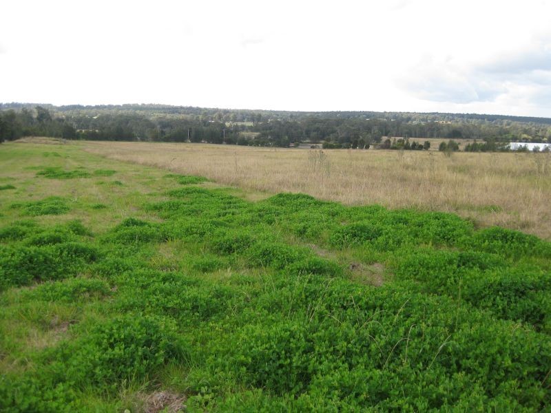 18 Valley View Place, Nulkaba NSW 2325