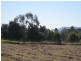 Lochinvar NSW 2321