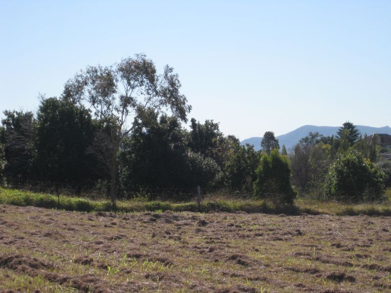 Lochinvar NSW 2321