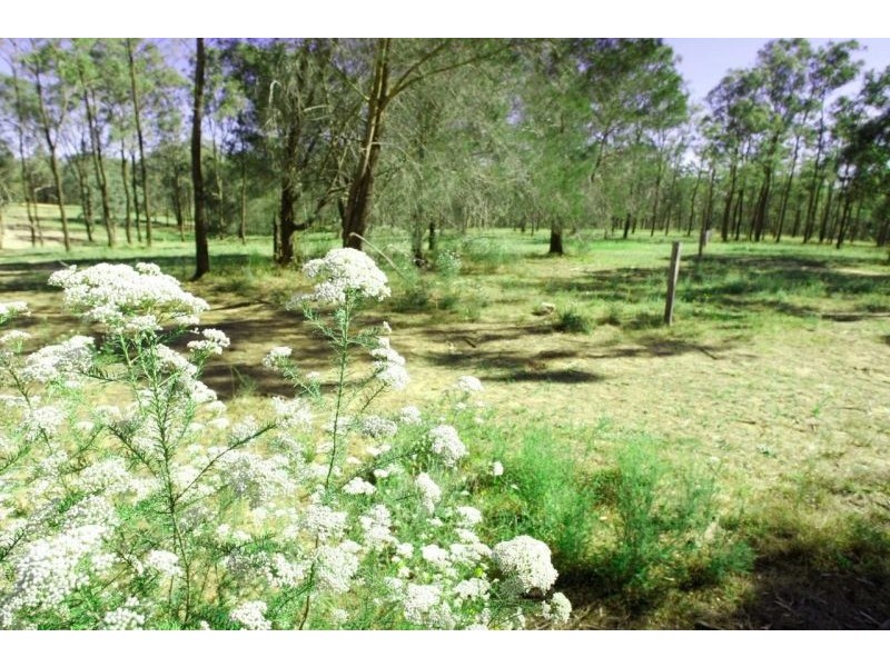 Blackburn Estate Wine Country Drive, Rothbury NSW 2320