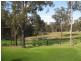 218 McMullins Road, Branxton NSW 2335