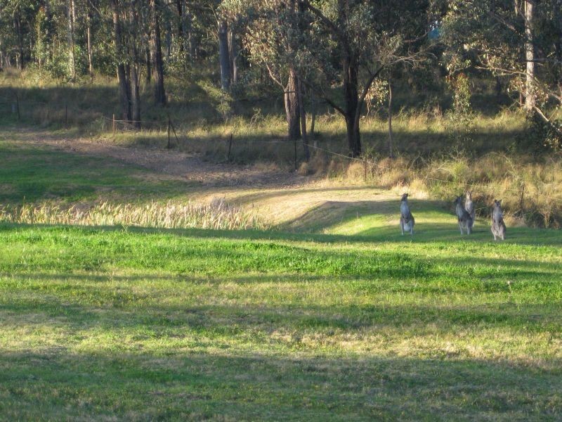 218 McMullins Road, Branxton NSW 2335