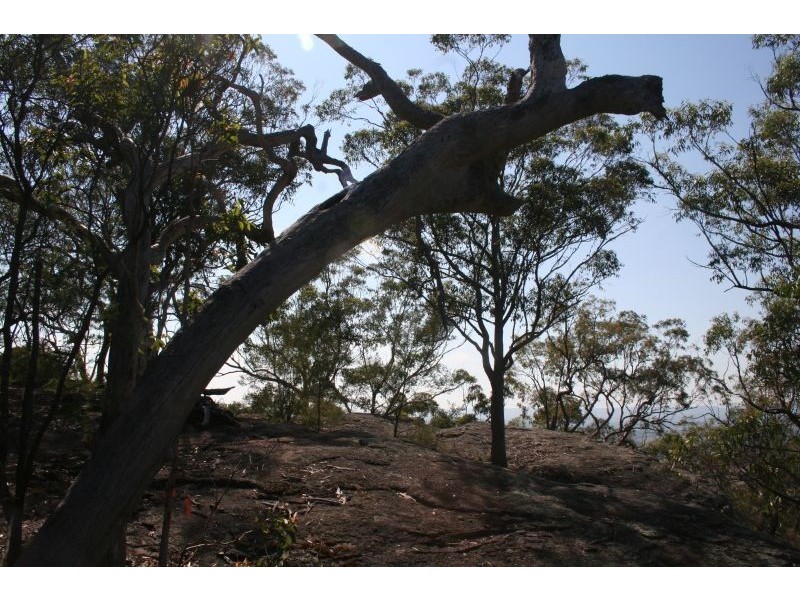 1652 Wollombi Road, Cedar Creek NSW 2325