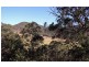 1652 Wollombi Road, Cedar Creek NSW 2325