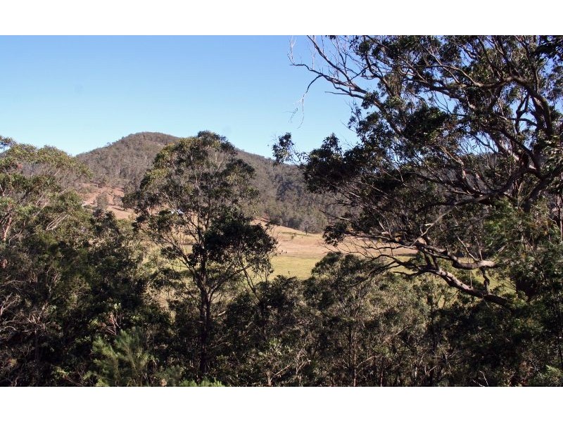1652 Wollombi Road, Cedar Creek NSW 2325