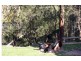 1652 Wollombi Road, Cedar Creek NSW 2325