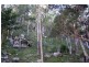 1652 Wollombi Road, Cedar Creek NSW 2325