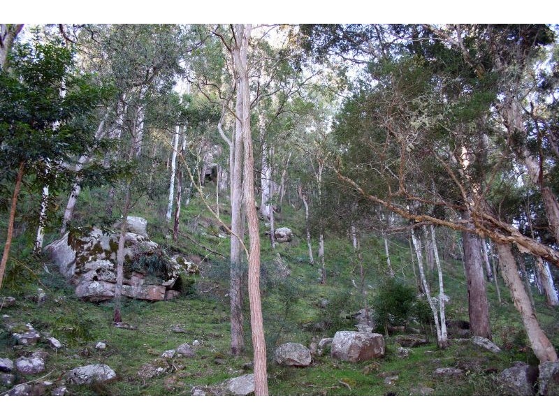 1652 Wollombi Road, Cedar Creek NSW 2325