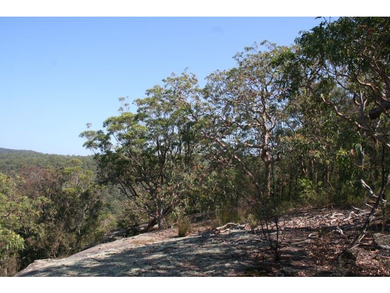 1652 Wollombi Road, Cedar Creek NSW 2325