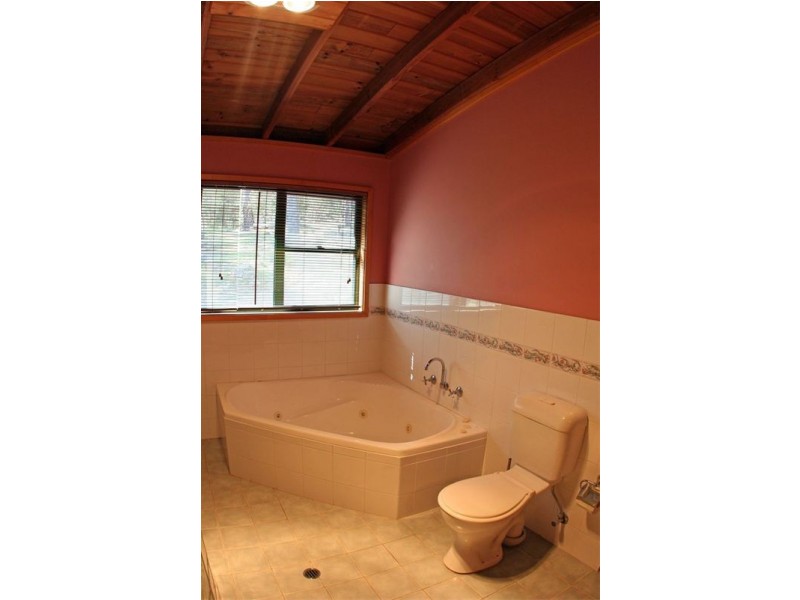1652 Wollombi Road, Cedar Creek NSW 2325
