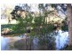 1652 Wollombi Road, Cedar Creek NSW 2325