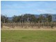 447 Old North Road, Pokolbin NSW 2320