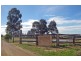 447 Old North Road, Pokolbin NSW 2320