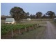 447 Old North Road, Pokolbin NSW 2320