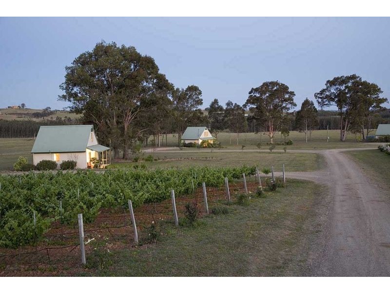 447 Old North Road, Pokolbin NSW 2320