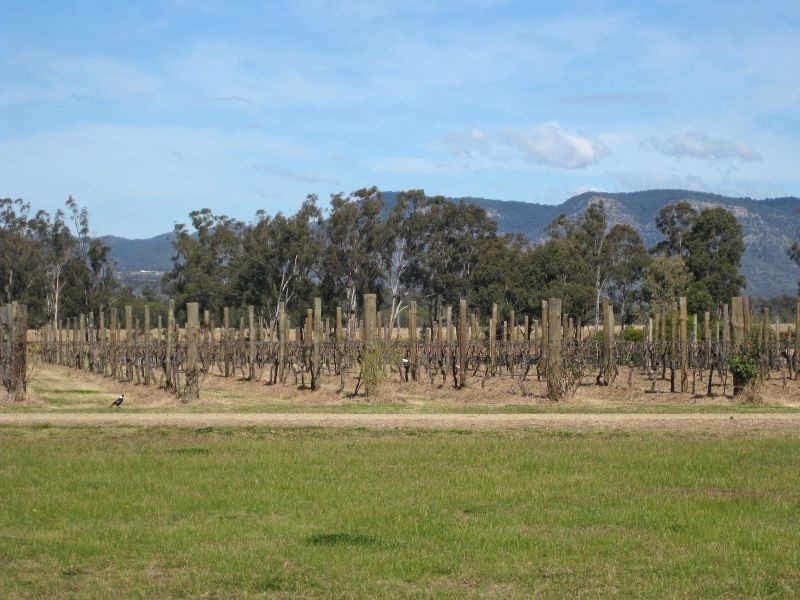 447 Old North Road, Pokolbin NSW 2320