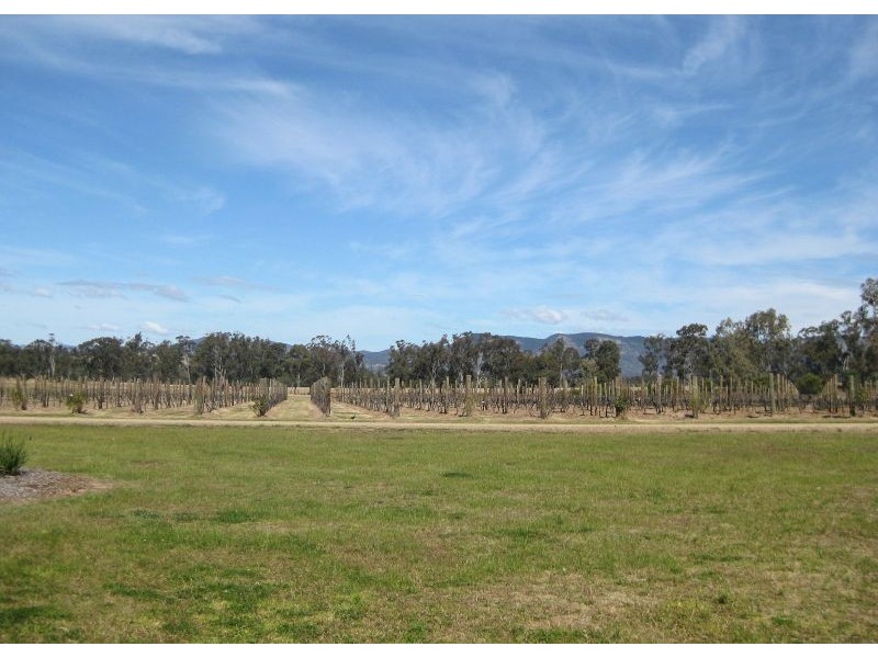 447 Old North Road, Pokolbin NSW 2320