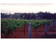 168 Palmers Lane, Pokolbin NSW 2320