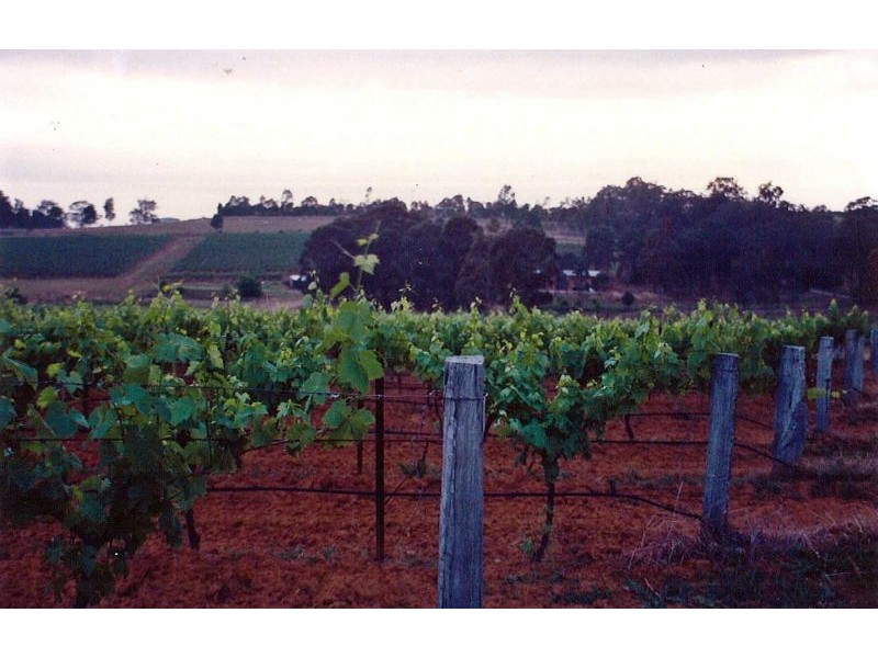 168 Palmers Lane, Pokolbin NSW 2320