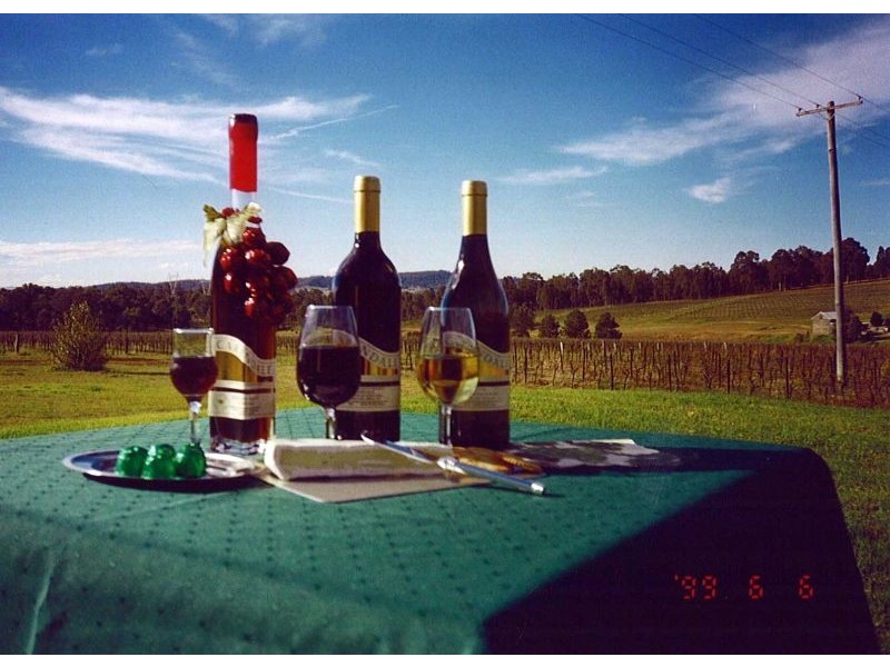 168 Palmers Lane, Pokolbin NSW 2320