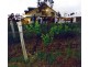 168 Palmers Lane, Pokolbin NSW 2320