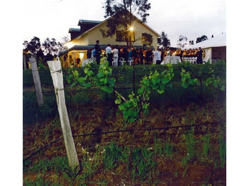 168 Palmers Lane, Pokolbin NSW 2320