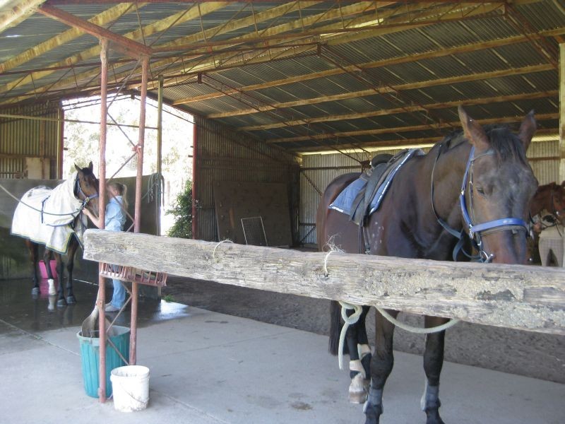 586 Lovedale Road, Keinbah NSW 2320