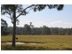 Lot 62 McCarthy Lane, Nulkaba NSW 2325