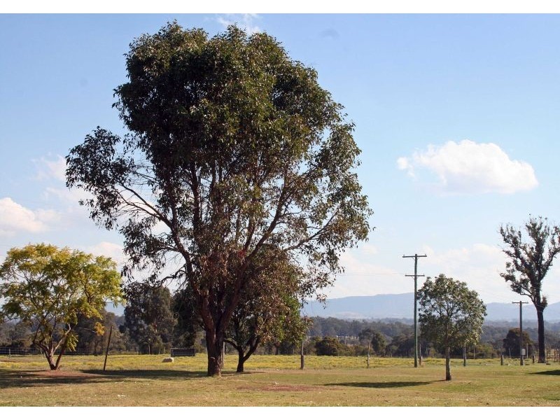 Lot 62 McCarthy Lane, Nulkaba NSW 2325