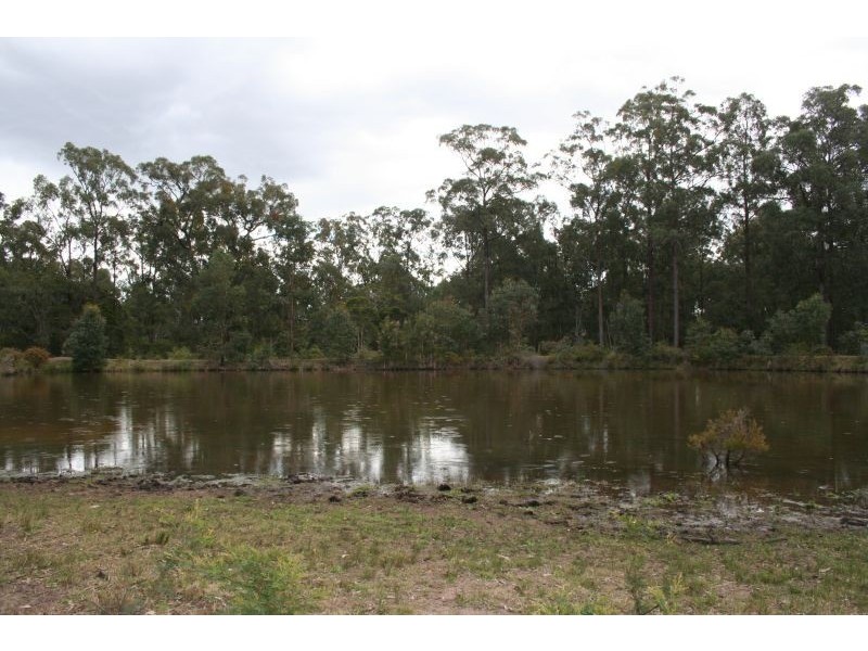 93 Lodge Road, Lovedale NSW 2325