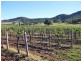 Lot 2  Mount View Road, Mount View NSW 2325