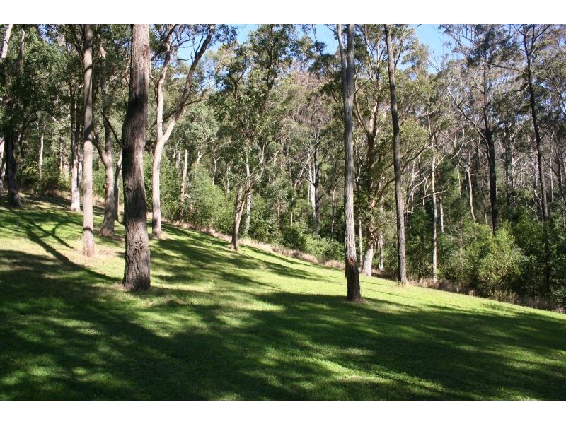 118 Lieberts Lane, Brunkerville NSW 2323