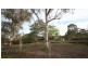 919 Milbrodale Road, Broke NSW 2330