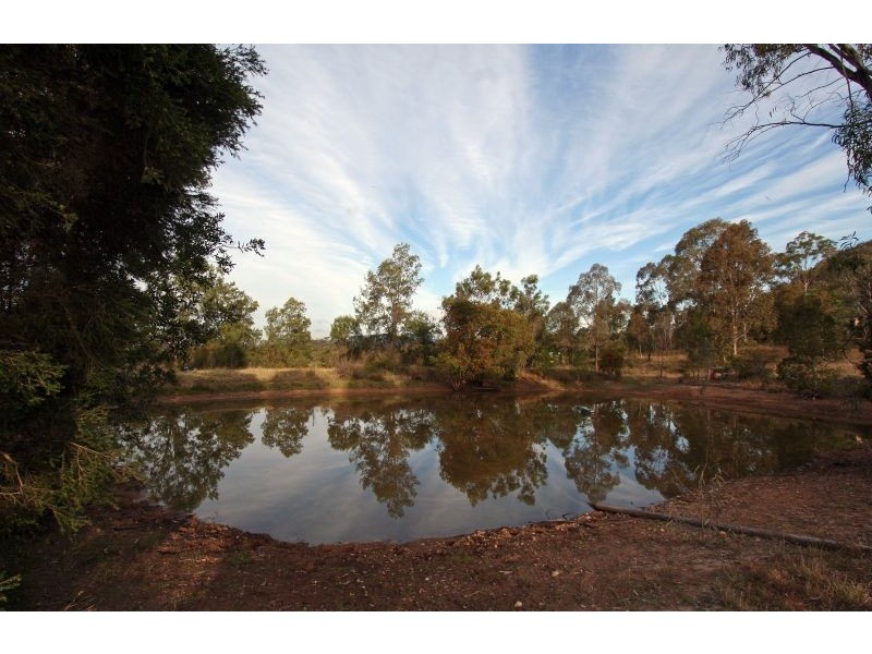 919 Milbrodale Road, Broke NSW 2330