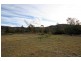 919 Milbrodale Road, Broke NSW 2330