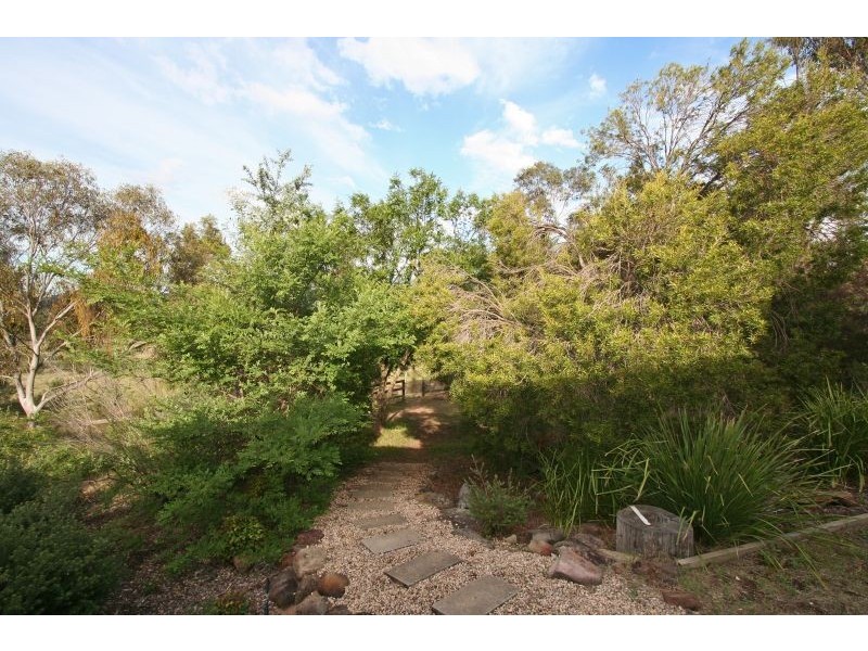 919 Milbrodale Road, Broke NSW 2330