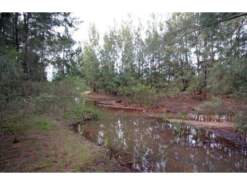 919 Milbrodale Road, Broke NSW 2330