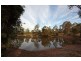 919 Milbrodale Road, Broke NSW 2330