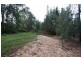 919 Milbrodale Road, Broke NSW 2330
