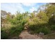 919 Milbrodale Road, Broke NSW 2330
