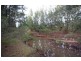 919 Milbrodale Road, Broke NSW 2330