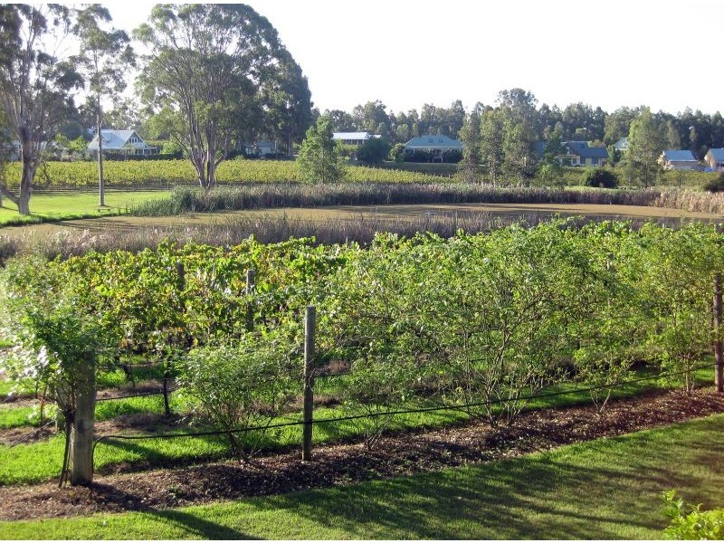 Lot 31 Kelman Estate, Pokolbin NSW 2320
