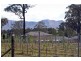181 Sweetwater Road, Pokolbin NSW 2320