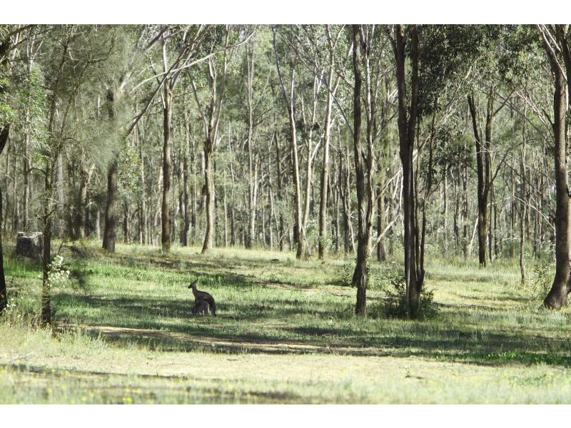 Lot 2 Blackburn Wine Country Drive, Rothbury NSW 2320