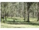 Lot 2 Blackburn Wine Country Drive, Rothbury NSW 2320