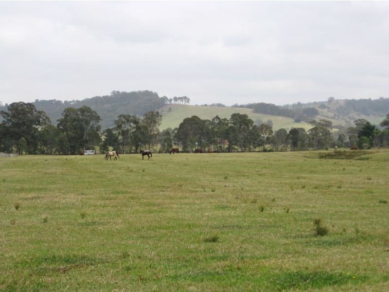 1060 Leggetts Drive, Mulbring NSW 2323