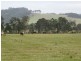 1060 Leggetts Drive, Mulbring NSW 2323